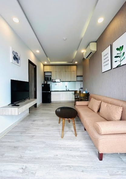 Modern 1br Apartment, Fully Furnished - Son Tra — 1BR fully furnished (photo 1)