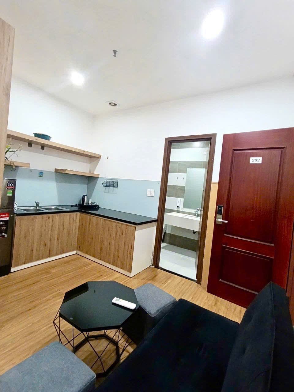 Studio Apartment with Weekly Cleaning - Son Tra — Studio fully furnished (photo 4)