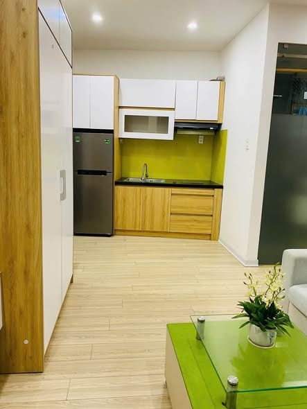 Studio in Son Tra, No Pets Allowed — Studio fully furnished (photo 2)
