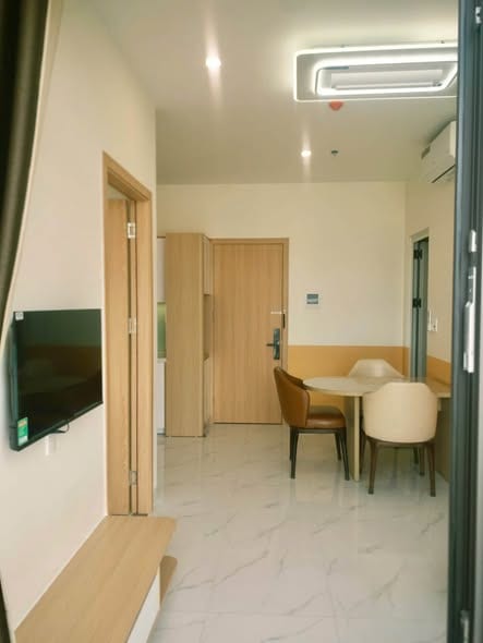 1br Fully Furnished Apartment with Mountain View - Son Tra — 1BR fully furnished (photo 3)