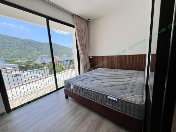 Spacious 1br Apartment with Infinity Pool - Son Tra — 1BR fully furnished (photo 1)