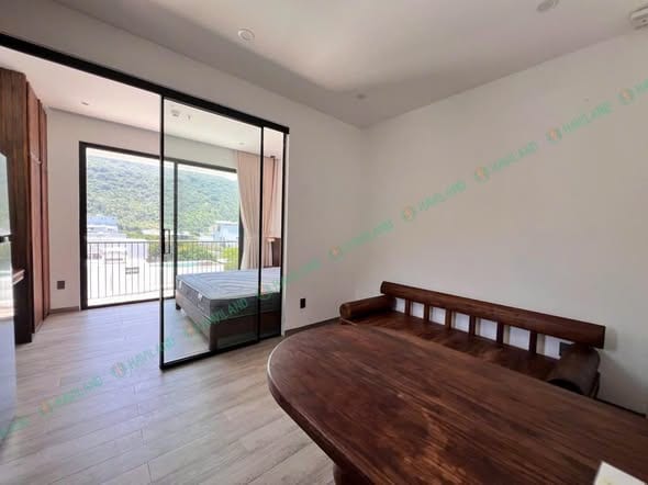 Spacious 1br Apartment with Infinity Pool - Son Tra — 1BR fully furnished (photo 3)