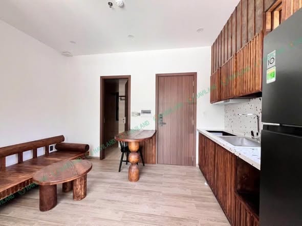 Spacious 1br Apartment with Infinity Pool - Son Tra — 1BR fully furnished (photo 5)