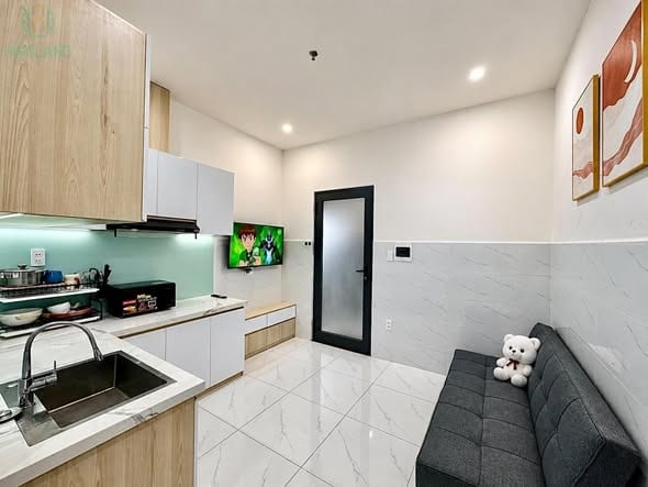 Pet-friendly 1br with Private Balcony - Khue My Dong — 1BR fully furnished (photo 1)