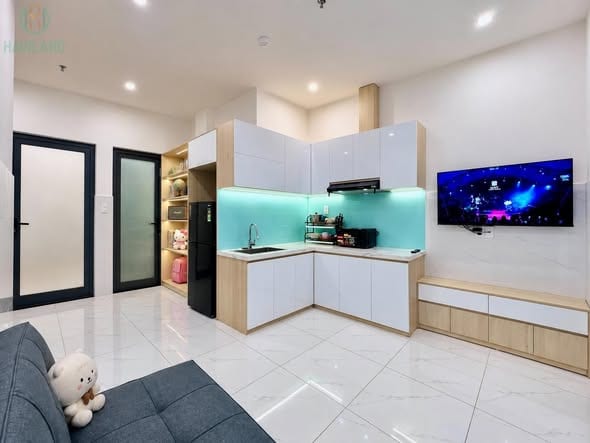 Pet-friendly 1br with Private Balcony - Khue My Dong — 1BR fully furnished (photo 2)
