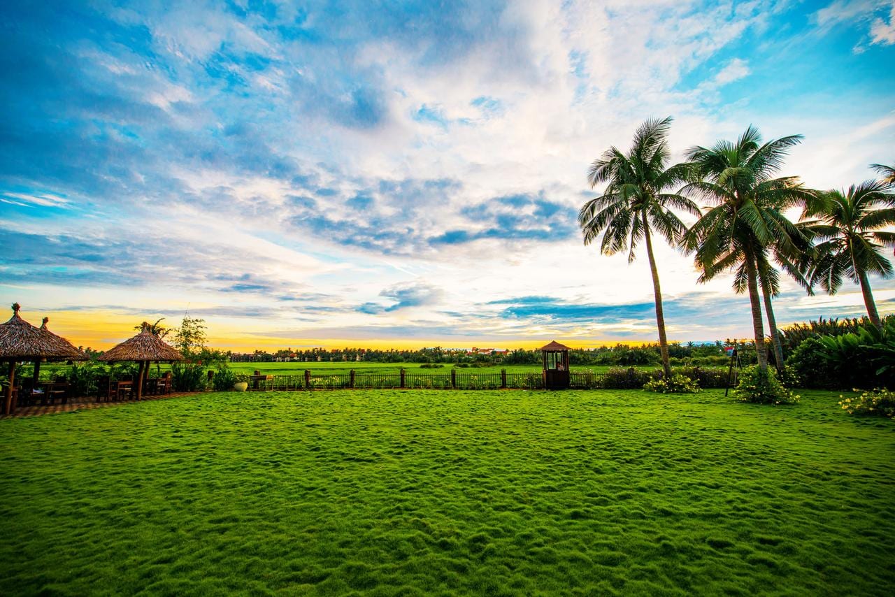 Enjoy Mountain & Beach Living at This Spacious Son Tra Apartment — 1BR fully furnished (photo 2)