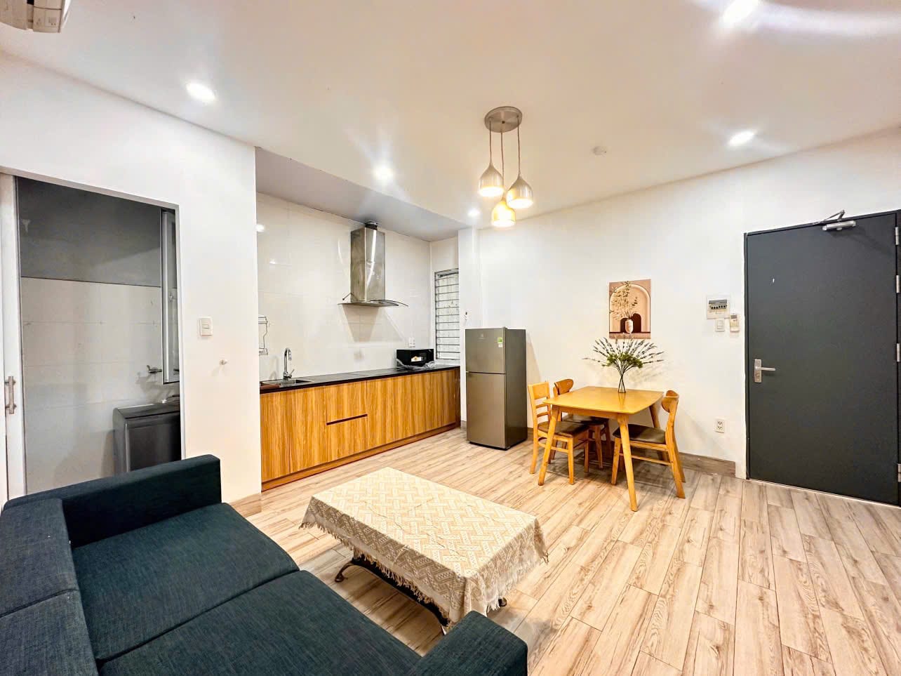 Pet-friendly 1br Apartment - Da Nang — 1BR fully furnished (photo 4)