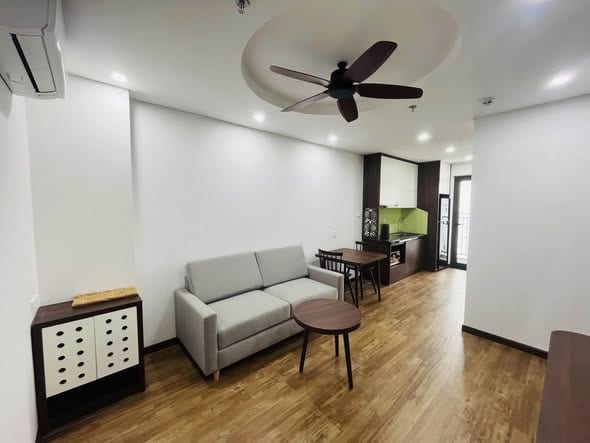 Serviced Apartments with Pool - An Thuong — 1BR fully furnished (photo 2)