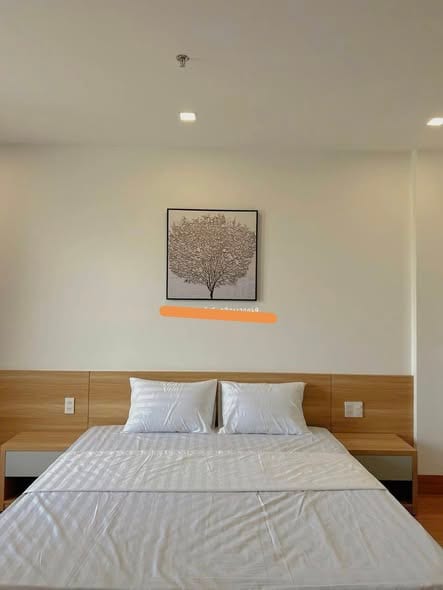 1br Apartment with Elevator - Son Tra — 1BR fully furnished (photo 4)