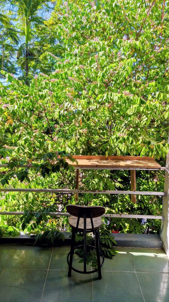 Shared Dorm Room Near Beach - Son Tra — Studio fully furnished (photo 5)