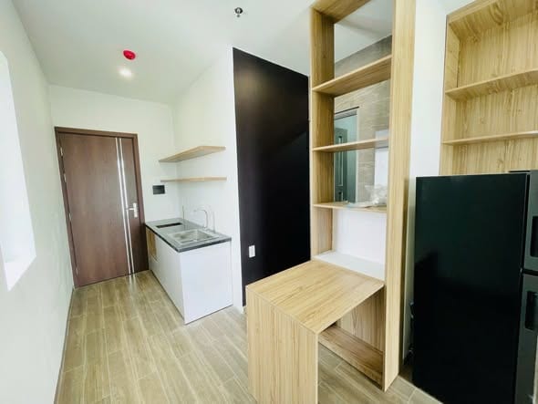 Stylish Studio Apartment - Chinh Huu — Studio fully furnished (photo 3)