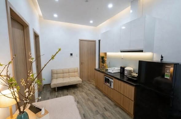 1br with Sunny Balcony Near My Khe Beach - Son Tra — 1BR fully furnished (photo 5)