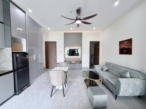 Brand-new 1br Apartment - Chu Huy Man, Son Tra — 1BR fully furnished (photo 3)