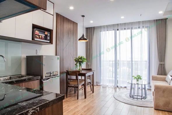 Luxury 1br Apartment with Pool, Gym - Ngu Hanh Son — 1BR fully furnished (photo 5)