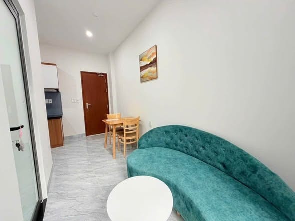 Brand-new 1br Apartment, Fully Furnished - Son Tra — 1BR fully furnished (photo 3)