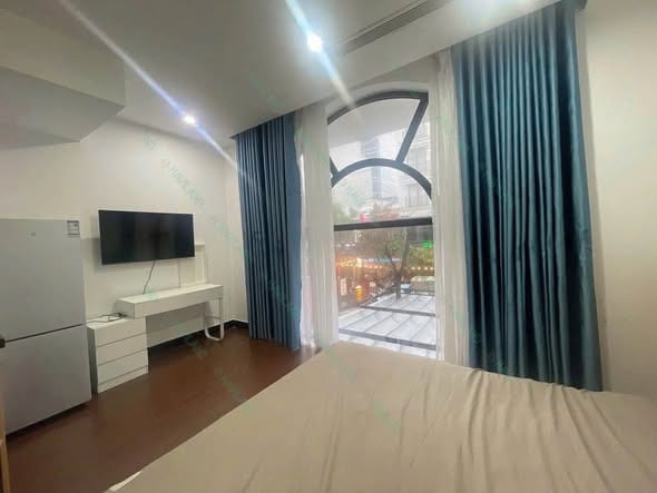 Furnished Apartment Near My Khe Beach - An Thuong — Studio fully furnished (photo 4)