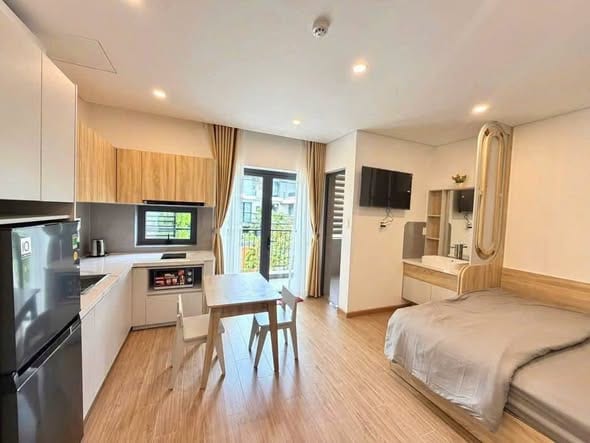 Fully Furnished Apartment with Balcony - Son Tra — Studio fully furnished (photo 1)