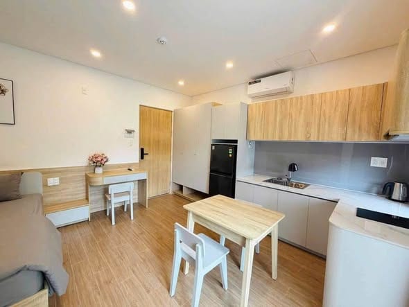 Fully Furnished Apartment with Balcony - Son Tra — Studio fully furnished (photo 4)