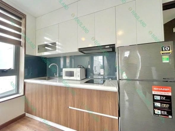 Studio Fully Furnished - Son Tra — Studio fully furnished (photo 4)
