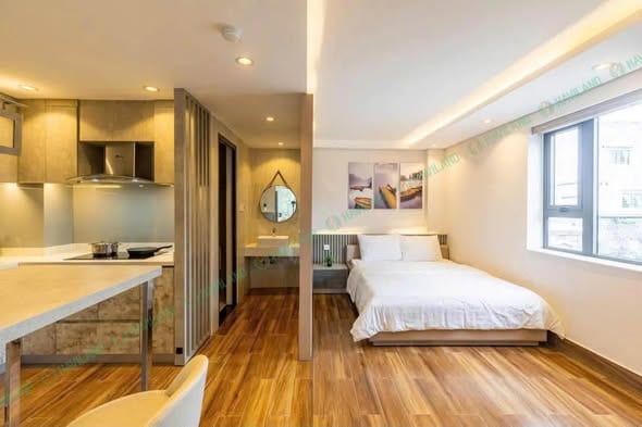 Spacious 1br Apartment, Fully Furnished - Son Tra — 1BR fully furnished (photo 4)