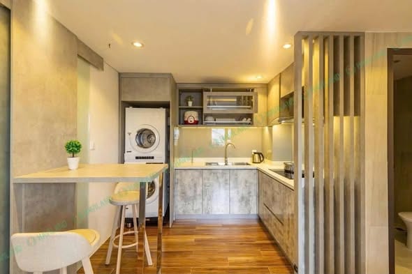 Spacious 1br Apartment, Fully Furnished - Son Tra — 1BR fully furnished (photo 5)