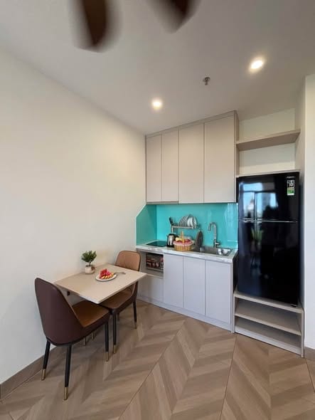 Apartments for Rent - Khue My Dong — 1BR fully furnished (photo 2)