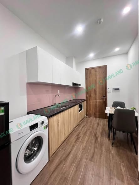 Pet-friendly Apartment in My Da Tay - Ngu Hanh Son — 1BR fully furnished (photo 5)