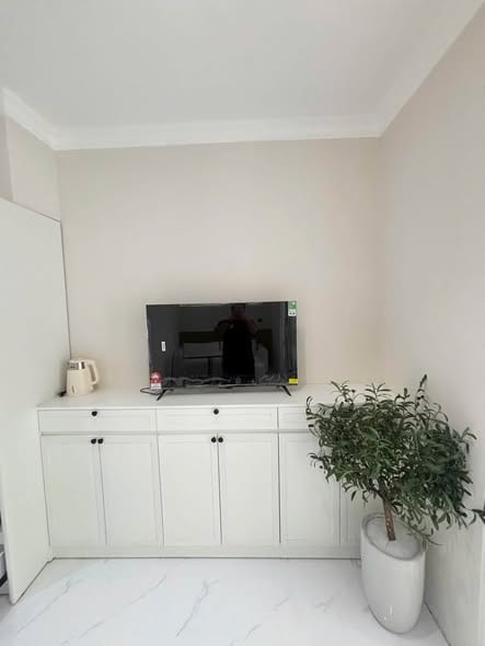 1br Fully Furnished Apartment Near Lotte Mart - Hai Chau — 1BR fully furnished (photo 4)
