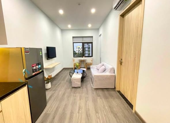 1br Fully Furnished Apartment Near My An Beach — 1BR fully furnished (photo 1)