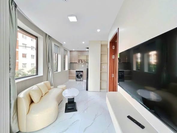 Pet-friendly 1br with Weekly Cleaning - Da Nang — 1BR fully furnished (photo 4)