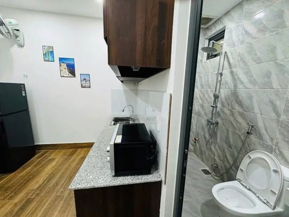 1br Fully Furnished Apartment - Vo Nguyen Giap — 1BR fully furnished (photo 5)