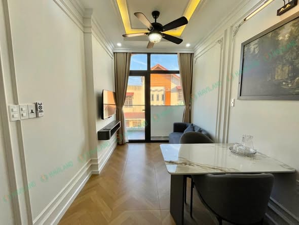1br Luxury Furnished with Balcony - Hai Chau — 1BR fully furnished (photo 3)