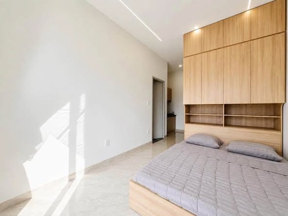Cozy Studio for Rent - Hoa Xuan — Studio fully furnished (photo 4)