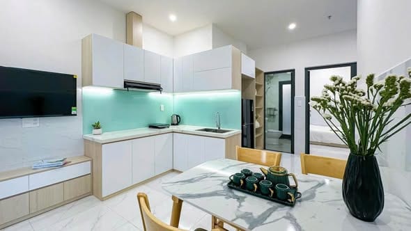 1br Pet-friendly Apartment - Khue My Dong — 1BR fully furnished (photo 1)