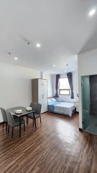 Studio Apartments, Pet-friendly - Le Van Quy, Son Tra — Studio fully furnished (photo 1)