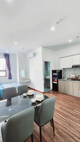 Studio Apartments, Pet-friendly - Le Van Quy, Son Tra — Studio fully furnished (photo 2)