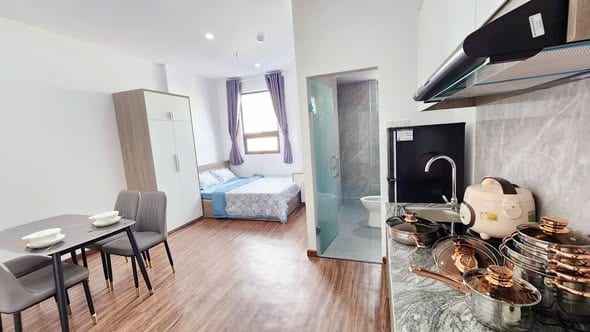 Studio Apartments, Pet-friendly - Le Van Quy, Son Tra — Studio fully furnished (photo 5)