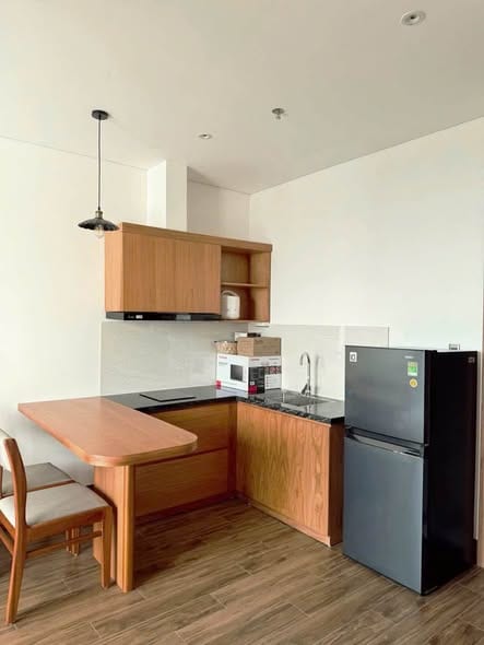 Brand-new 1br Apartment with Pool - Khue My — 1BR fully furnished (photo 3)
