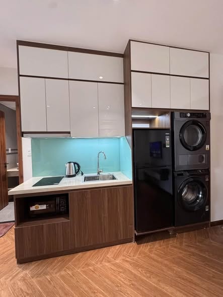 2br Spacious Apartment - Khue My Dong — 2BR fully furnished (photo 3)