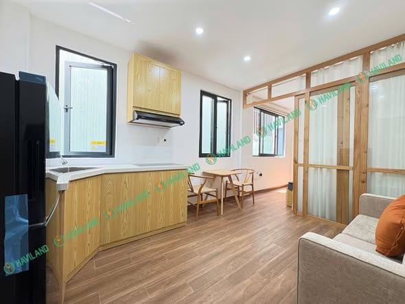 1br Fully Furnished Apartment - Hai Chau — 1BR fully furnished (photo 3)
